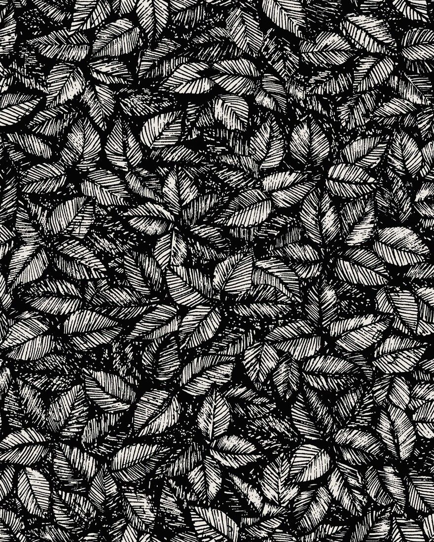1773 Viola Gråsten Amorina Black & White Wallpaper by Boråstapeter
