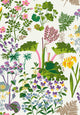 Gocken Jobs Rabarber Multi and White Scandinavian Designers II Wallpaper by Boråstapeter