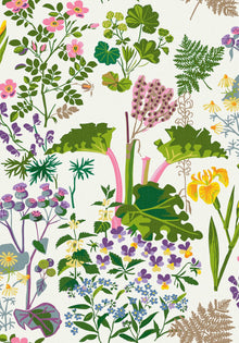 1792 Gocken Jobs Rabarber Multi and White Wallpaper by Boråstapeter