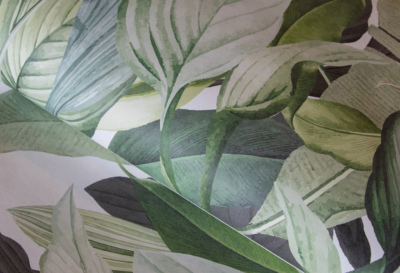 18001 Tropical Forest Coconut Wall Mural By Hohenberger