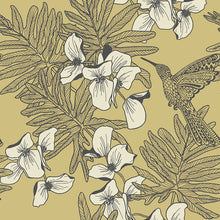 1804-117-01 Hummingbird Aurora Wallpaper by 1838 Wallcoverings