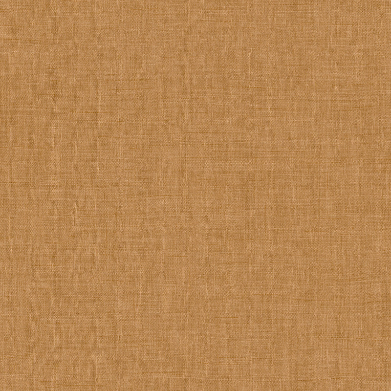 18340 Mandu Cider Indienne Wallpaper by Arte