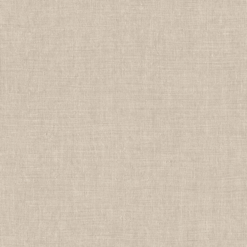 18342 Mandu Salt Indienne Wallpaper by Arte