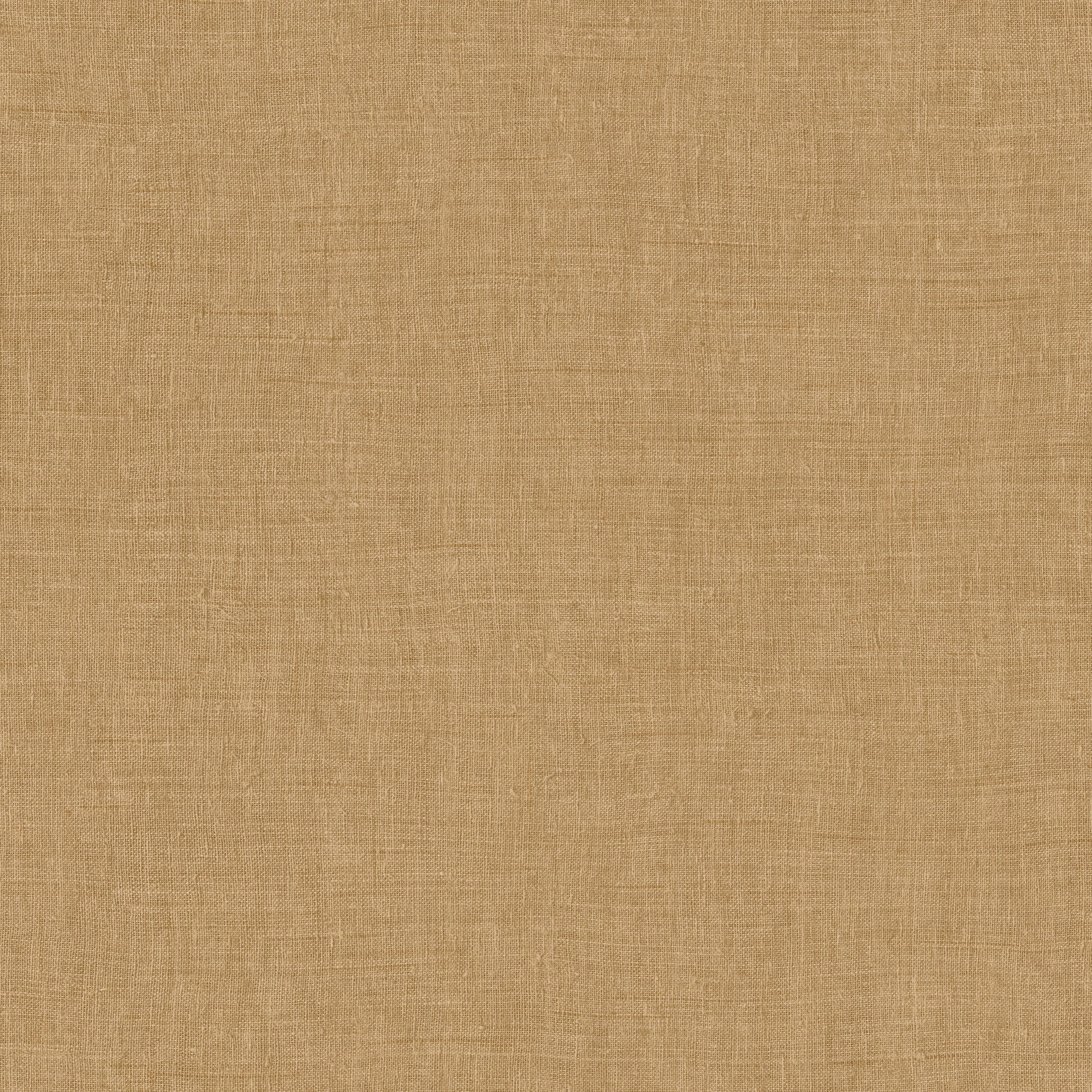 18350 Mandu Camel Indienne Wallpaper by Arte