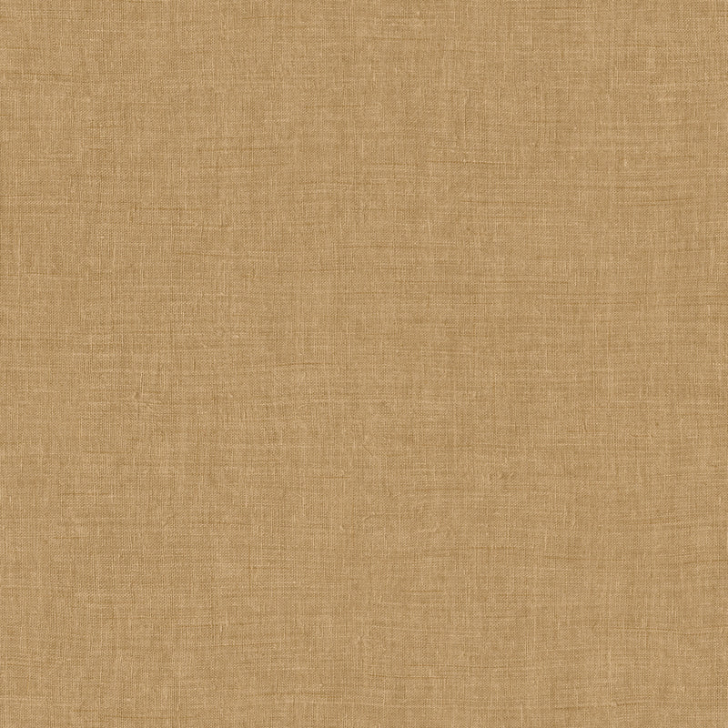 18350 Mandu Camel Indienne Wallpaper by Arte