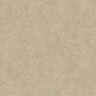 1850 Textured Glitter Champagne Texture wallpaper by Belgravia 