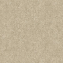 1850 Textured Glitter Champagne Texture wallpaper by Belgravia 