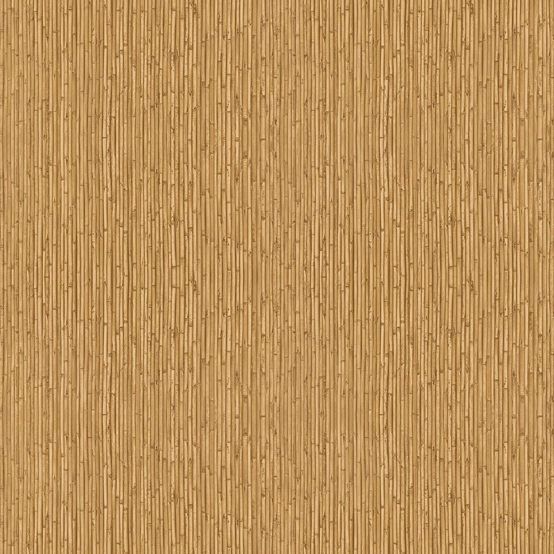 18573 Bamboo Into The Wild Wallpaper by Galerie