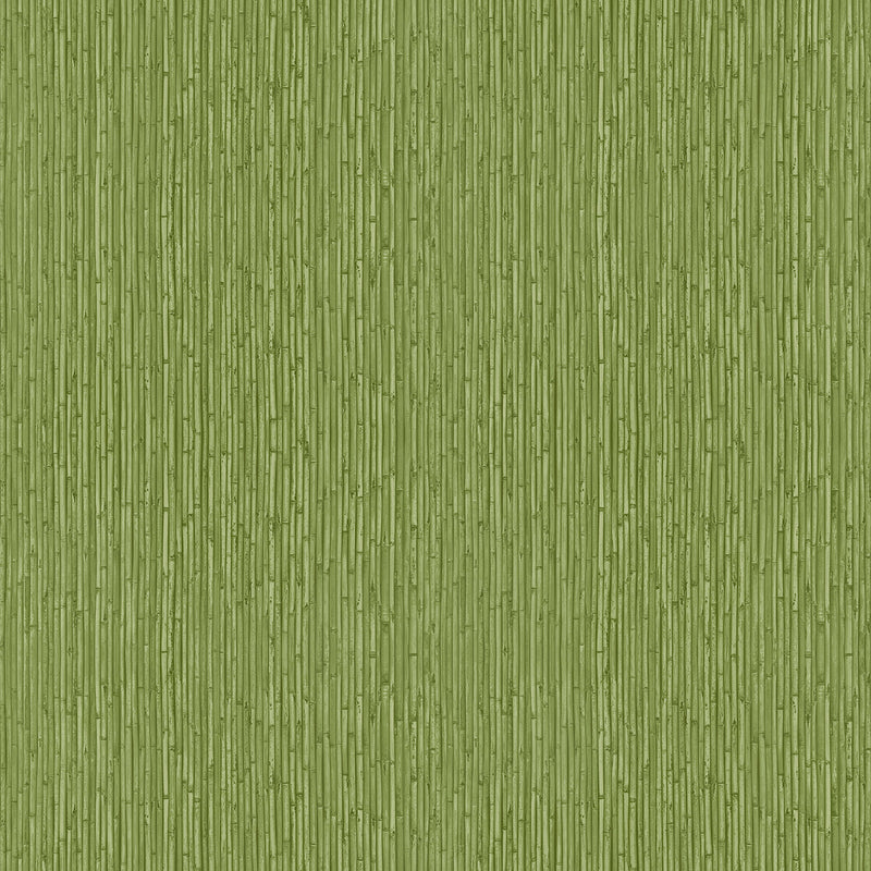 18575 Bamboo Into The Wild Wallpaper by Galerie