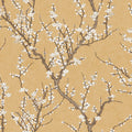 Sakura Tree Spring Blossom Wallpaper By Galerie