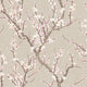 Sakura Tree Spring Blossom Wallpaper By Galerie