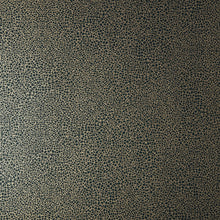 1907-141-06 Emile Jet Elodie Wallpaper by 1838 Wallcoverings