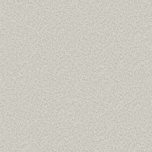 1930 Valentino Texture Grey Wallpaper by Belgravia Zambaiti Parati