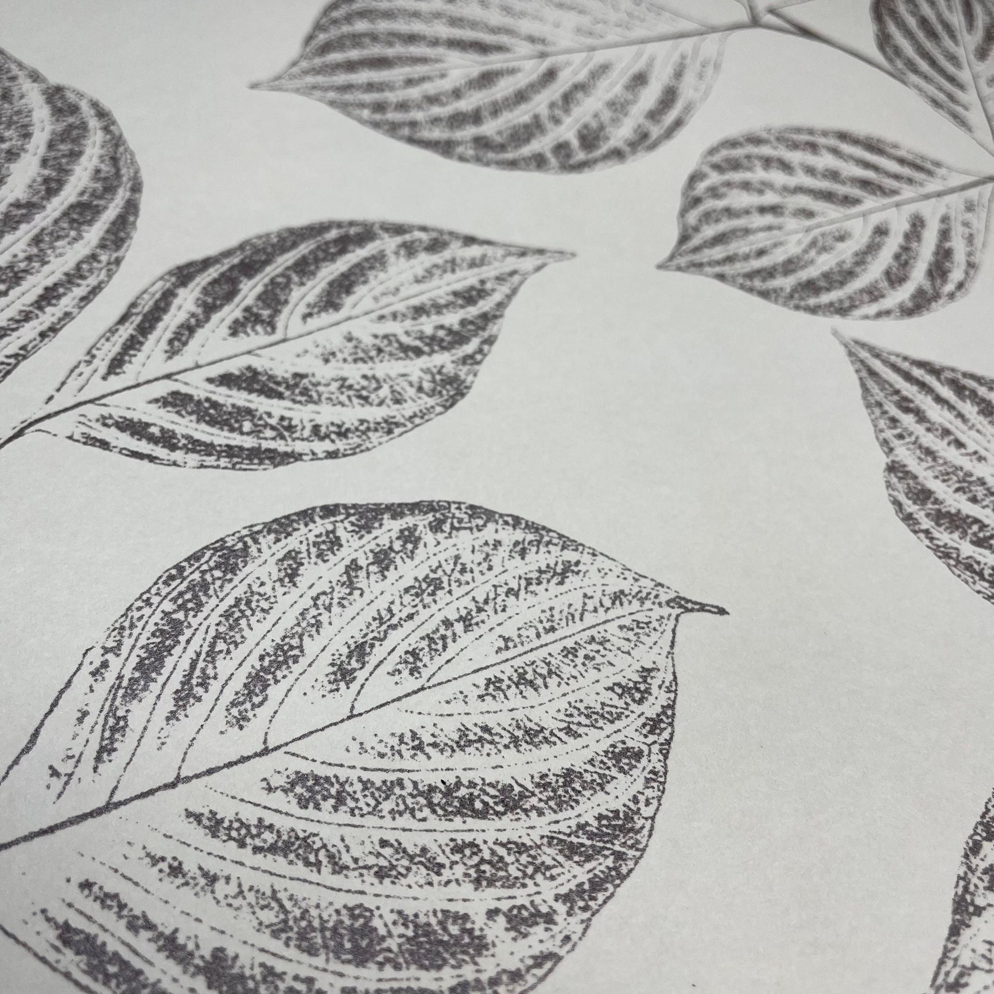 Casadeco Portofino - PTF 1934 11 07 ( PTF19341107 ) Wallpaper