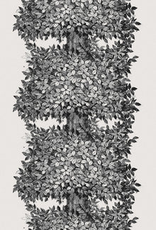1950 Viola Gråsten Hassel Black & White Mural by Boråstapeter