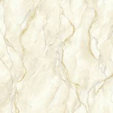 400105 Pandora Champagne Vasari Wallpaper by Rasch