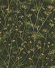 Wild Chervil Wallpaper by Clarissa Hulse