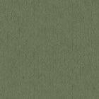 201277777 Tarrazu Vert Canopee Vegetals Wallpaper by Casadeco