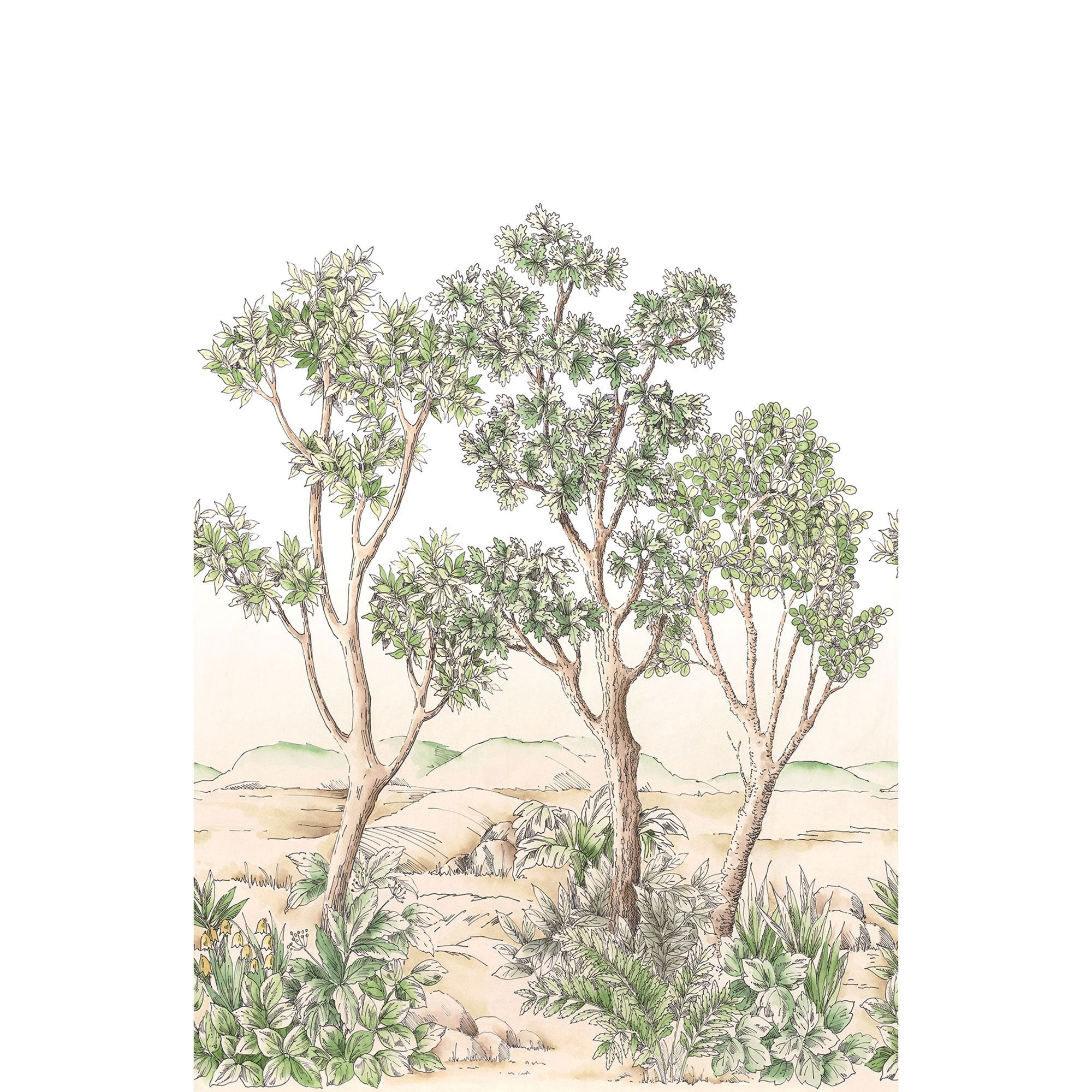 Terre D'Acacias Vert Feuillage Wonderwalls 3 Mural by Casadeco (200x310cm)