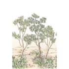 Terre D'Acacias Vert Feuillage Wonderwalls 3 Mural by Casadeco (200x310cm)
