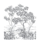 Terre D'Acacias Noir Fusain Wonderwalls 3 Mural by Casadeco (200x250cm)