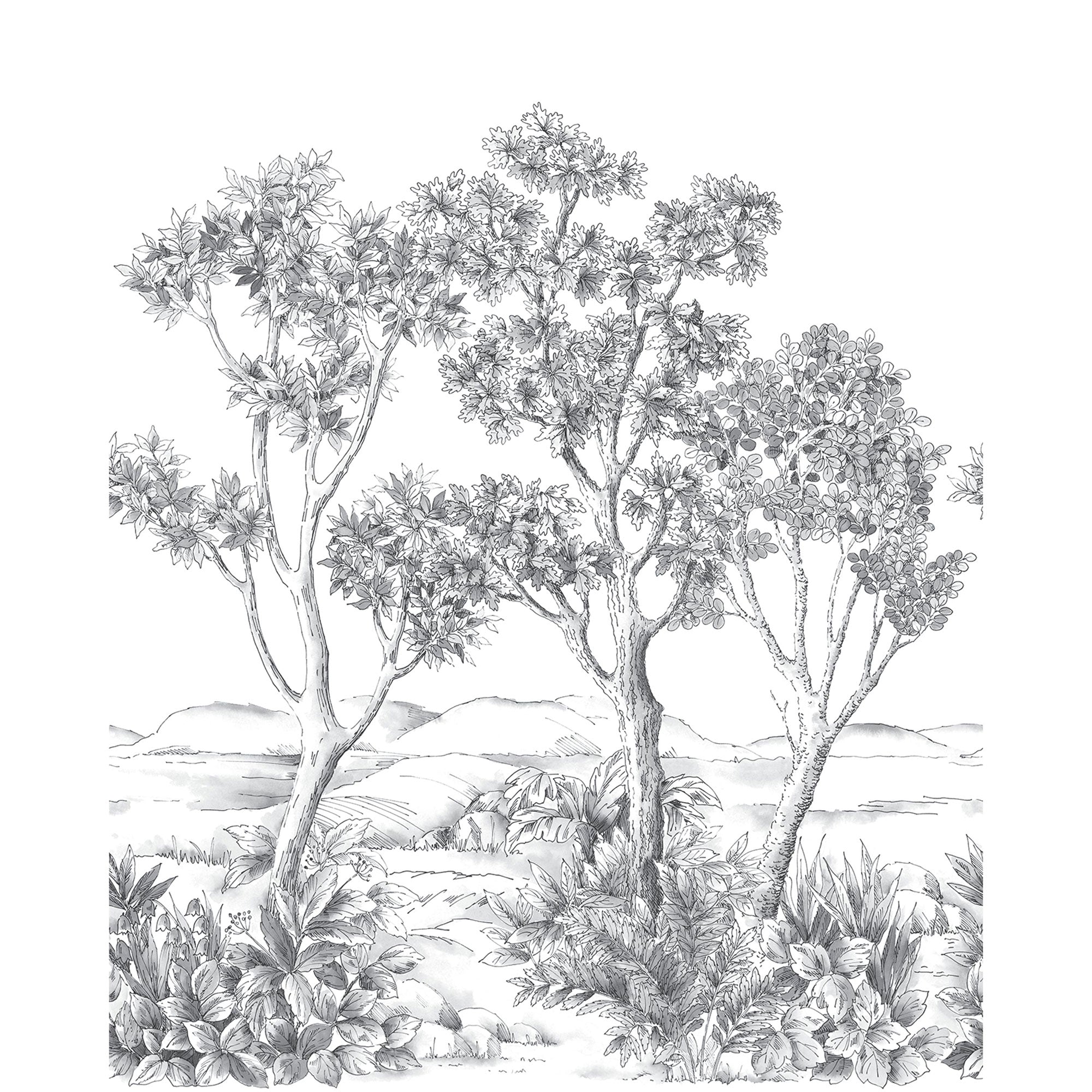 Terre D'Acacias Noir Fusain Wonderwalls 3 Mural by Casadeco (200x250cm)