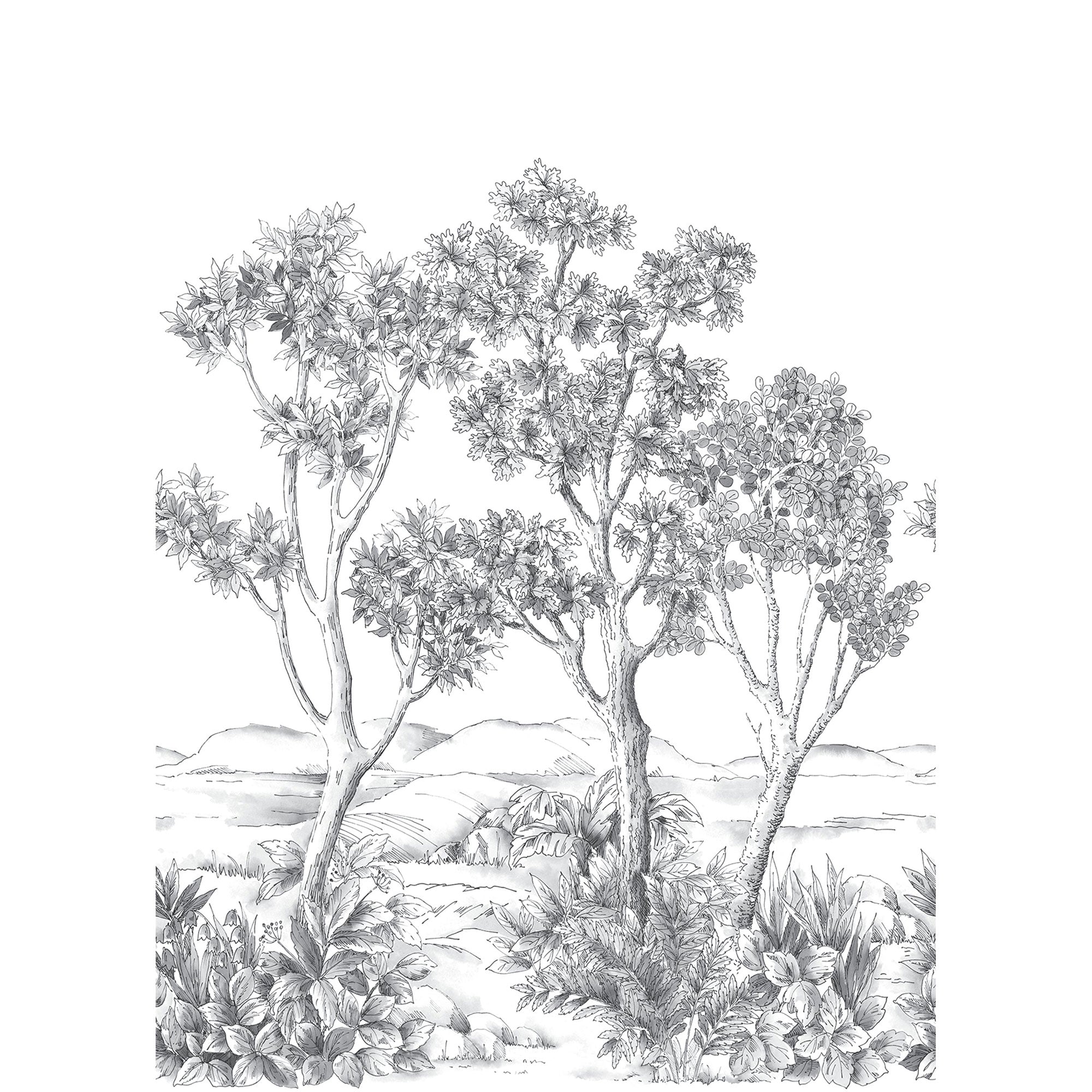 Terre D'Acacias Noir Fusain Wonderwalls 3 Mural by Casadeco (200x280cm)