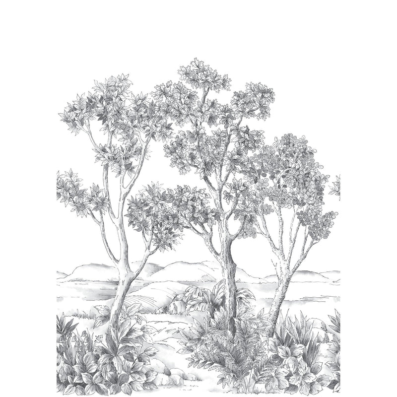 Terre D'Acacias Noir Fusain Wonderwalls 3 Mural by Casadeco (200x280cm)