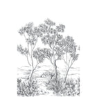 Terre D'Acacias Noir Fusain Wonderwalls 3 Mural by Casadeco (200x310cm)