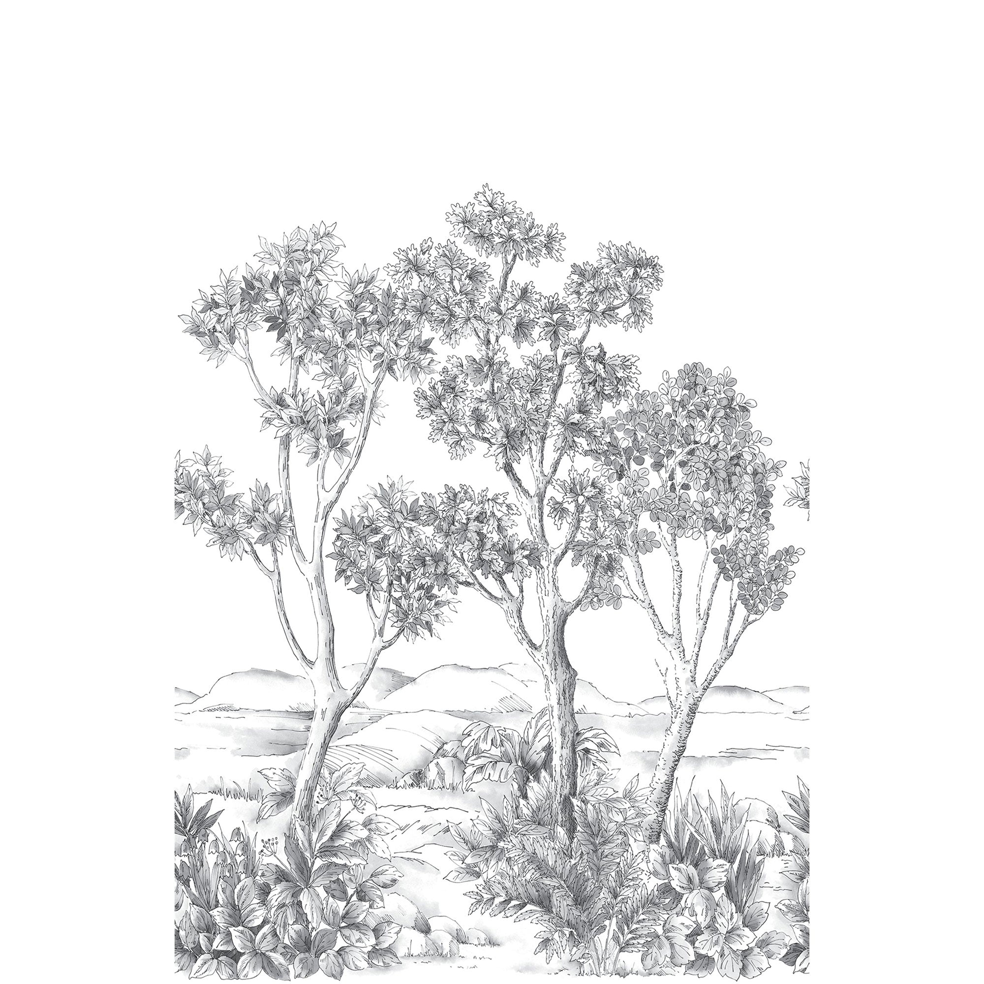 Terre D'Acacias Noir Fusain Wonderwalls 3 Mural by Casadeco (200x310cm)