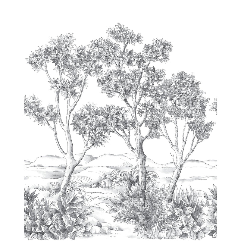 Terre D'Acacias Noir Fusain Wonderwalls 3 Mural by Casadeco (200x250cm)