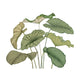Alocasia Vert Feuillage Wonderwalls 3 Mural by Casadeco (350x250cm)