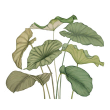 Alocasia Vert Feuillage Wonderwalls 3 Mural by Casadeco (350x280cm)