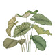 Alocasia Vert Feuillage Wonderwalls 3 Mural by Casadeco (350x310cm)