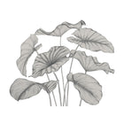 Alocasia Noir Fusain Wonderwalls 3 Mural by Casadeco (350x250cm)