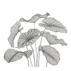 Alocasia Noir Fusain Wonderwalls 3 Mural by Casadeco (350x310cm)