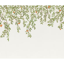 Douceur D'Agrumes Vert Feuillage Wonderwalls 3 Mural by Casadeco (300x250cm)