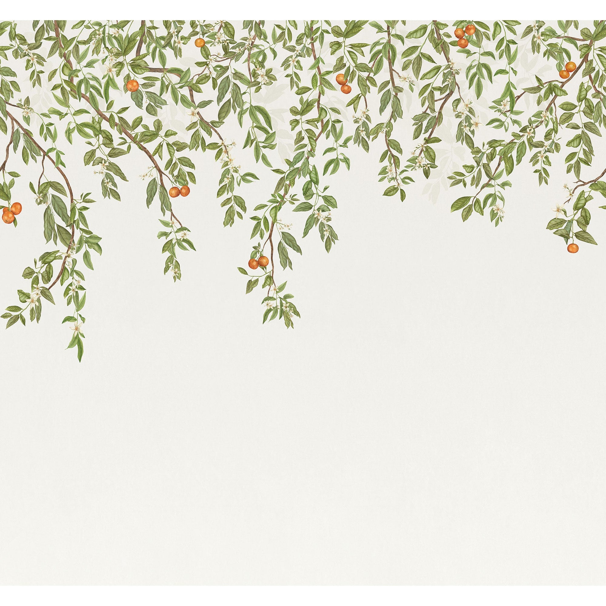 Douceur D'Agrumes Vert Feuillage Wonderwalls 3 Mural by Casadeco (300x280cm)