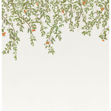 Douceur D'Agrumes Vert Feuillage Wonderwalls 3 Mural by Casadeco (300x310cm)