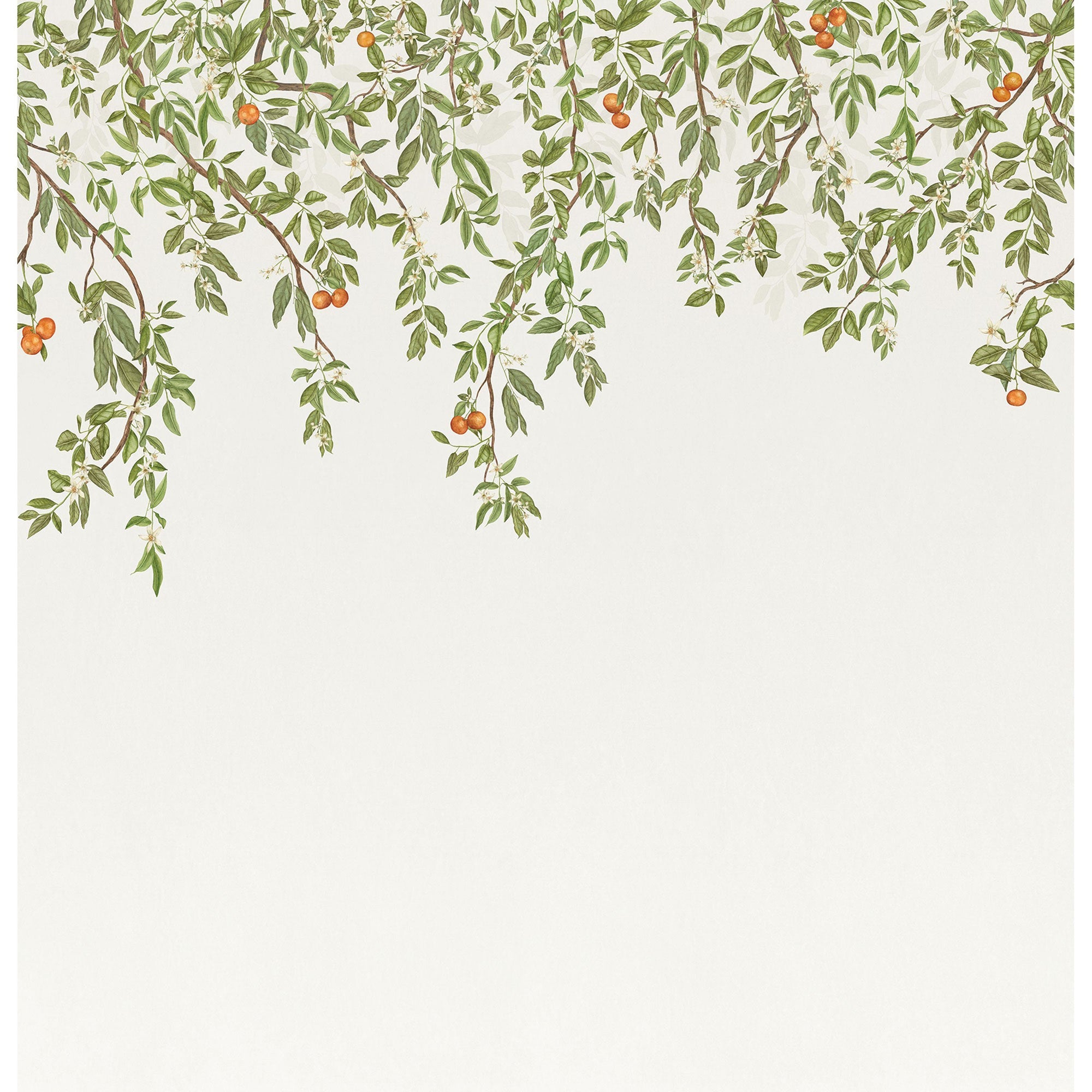 Douceur D'Agrumes Vert Feuillage Wonderwalls 3 Mural by Casadeco (300x310cm)