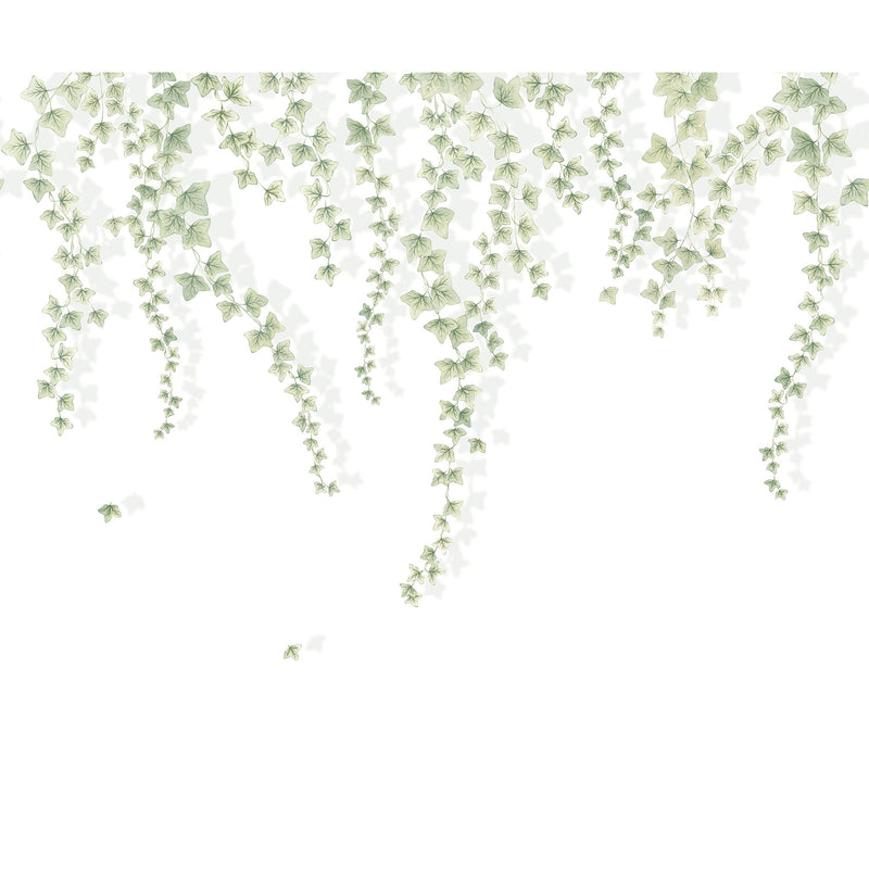 Lierre Suspendu Vert Feuillage Wonderwalls 3 Mural by Casadeco (300x250cm)