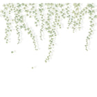 Lierre Suspendu Vert Feuillage Wonderwalls 3 Mural by Casadeco (300x280cm)