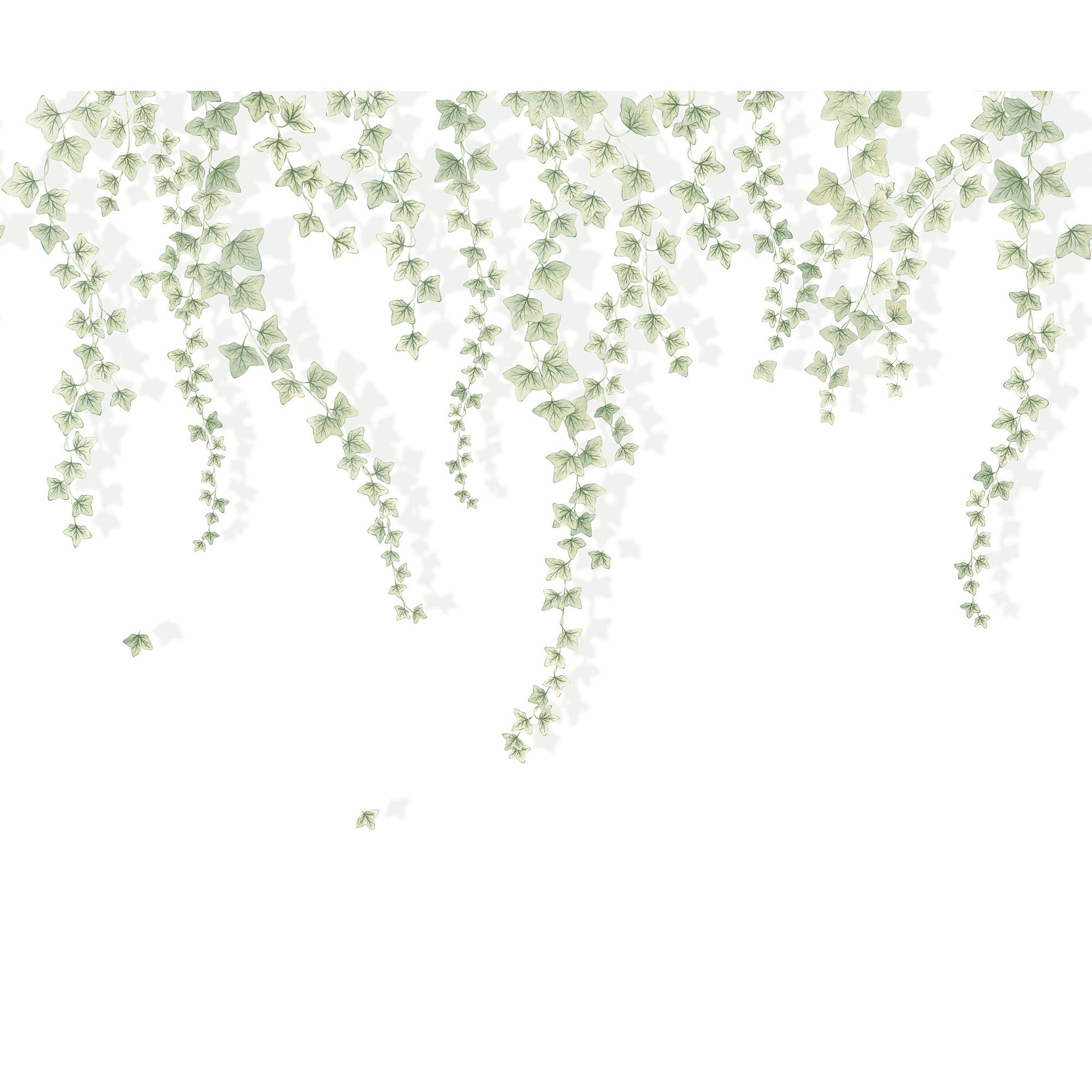 Lierre Suspendu Vert Feuillage Wonderwalls 3 Mural by Casadeco (300x250cm)