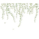 Lierre Suspendu Vert Feuillage Wonderwalls 3 Mural by Casadeco (300x250cm)
