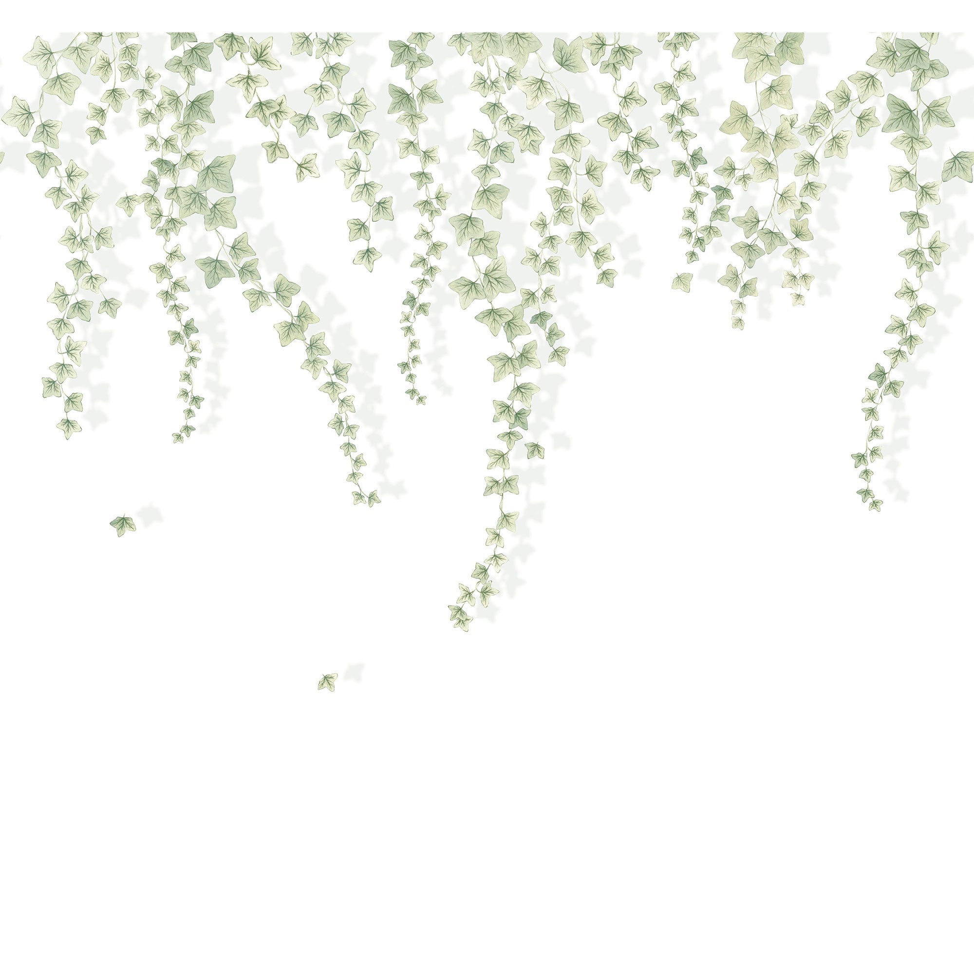Lierre Suspendu Vert Feuillage Wonderwalls 3 Mural by Casadeco (300x280cm)