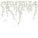 Lierre Suspendu Vert Feuillage Wonderwalls 3 Mural by Casadeco (300x280cm)