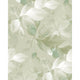 Souffle Vegetal Vert Amande Wonderwalls 3 Mural by Casadeco (200x250cm)