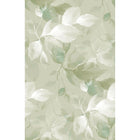 Souffle Vegetal Vert Amande Wonderwalls 3 Mural by Casadeco (200x310cm)