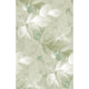 Souffle Vegetal Vert Amande Wonderwalls 3 Mural by Casadeco (200x310cm)