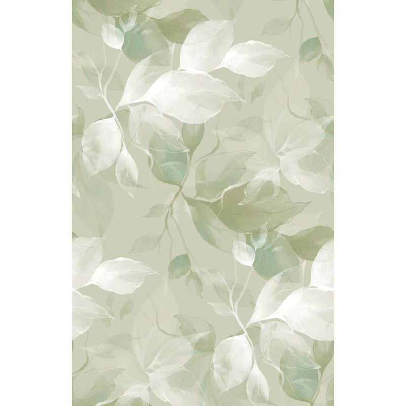Souffle Vegetal Vert Amande Wonderwalls 3 Mural by Casadeco (200x310cm)